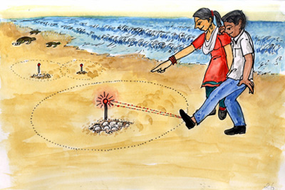 System to protect turtle eggs at beaches - Photo