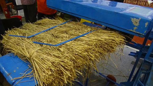 Image of Paddy Straw Cutter for Mushroom Bed Preparation