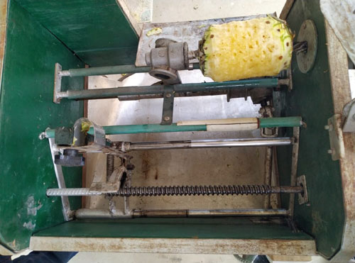 Pineapple Peeling Machine and Shredding cum Peeling Machine - Photo