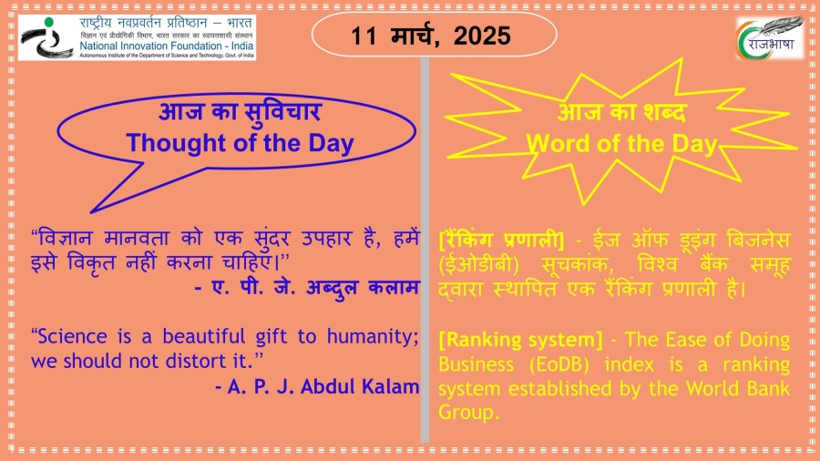 11 March 2025