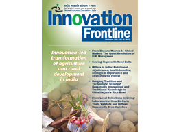 Image of NIF Newsletter: may-june 2026-English
